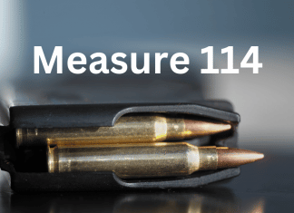 Measure 114 (2022)