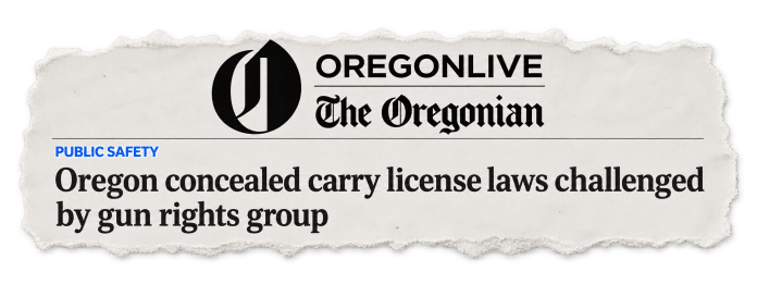 Gun Article Headline